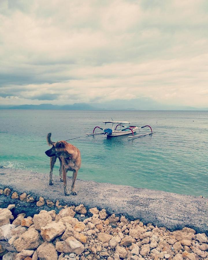 Vns Beachfront Gasthuis Toyapakeh